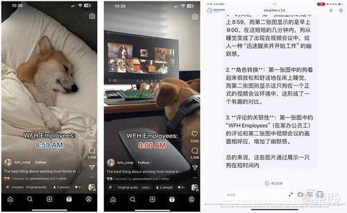 视频实拍在线播放国产,视频实拍带你领略国产魅力