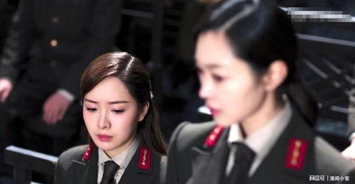 国产剧蜂巢在线播放,揭秘网络世界的神秘蜂巢，在线播放带你探秘！