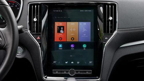 国产自a在线播放t,探索国内影视新天地