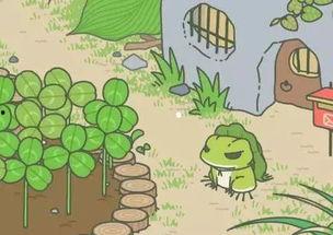 国产小青蛙第五部在线,奇幻森林探险记