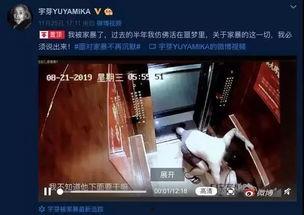 国产网红白浆视频在线,揭秘网红美食背后的制作奥秘